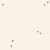 SPiSEUNDERLAG M. Bi